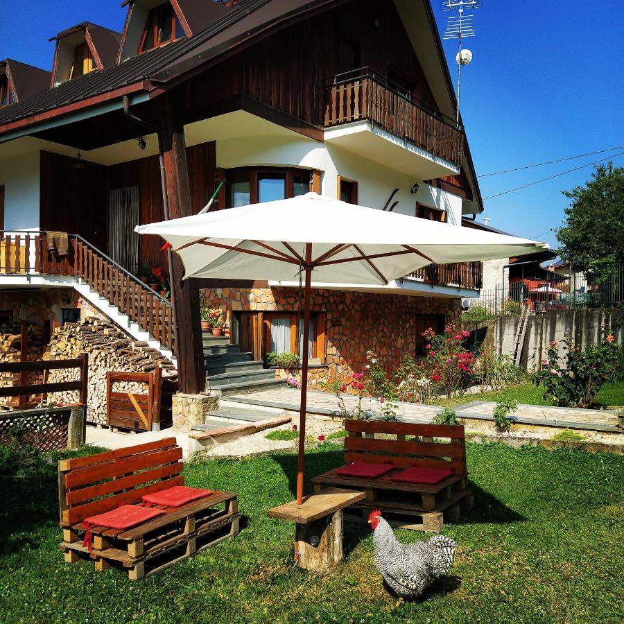 La Rocca Bianca Bed & Breakfast Demonte Eksteriør bilde